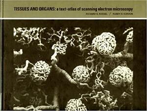 Tissues and organs: A text-atlas of scanning electron microscopy by Richard G. Kessel