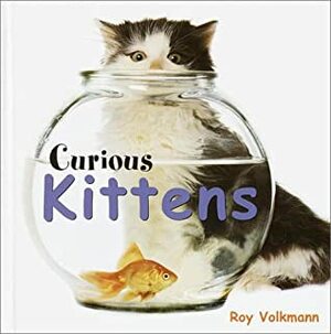 Curious Kittens by Roy Volkmann