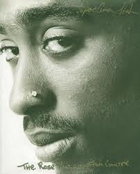The Rose that Grew from Concrete by Tupac Shakur, Tupac Shakur