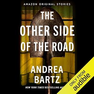 The Other Side of the Road by Andrea Bartz