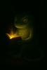 thebooklizard's profile picture