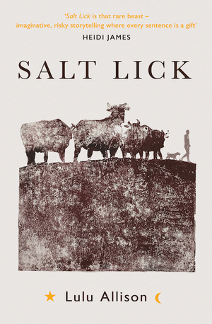 Salt Lick by Lulu Allison