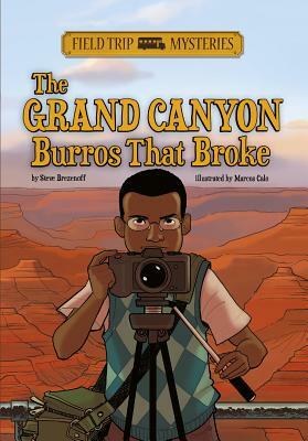 The Field Trip Mysteries: The Grand Canyon Burros That Broke by Steve Brezenoff