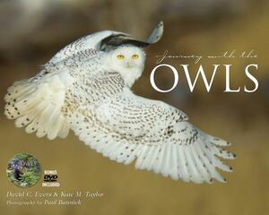 Journey with the Owl by David Evers, Kate Taylor