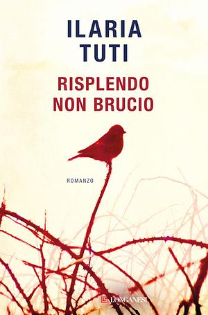 Risplendo non brucio by Ilaria Tuti