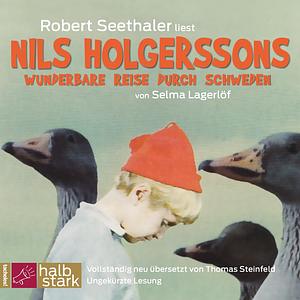 Nils Holgerssons wunderbare Reise durch Schweden by Selma Lagerlöf