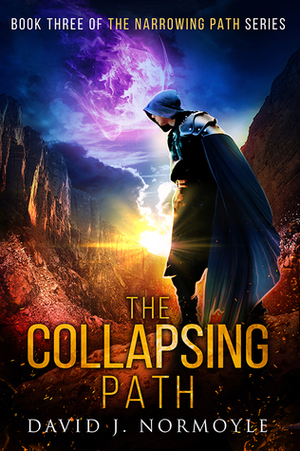 The Collapsing Path by David J. Normoyle