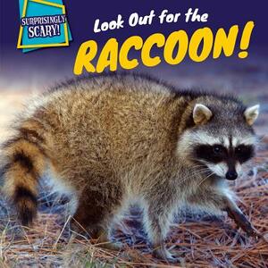 Look Out for the Raccoon! by Caitie McAneney