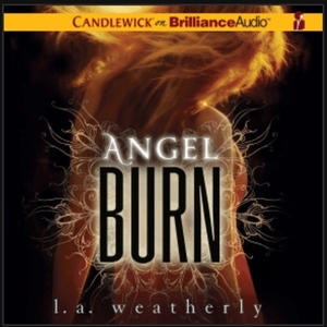 Angel Burn  by L. A. Weatherly