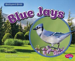 Blue Jays by Lisa J. Amstutz