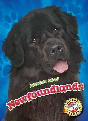 Newfoundlands by Nathan Sommer