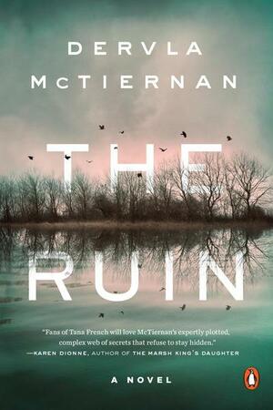 The Ruin by Dervla McTiernan