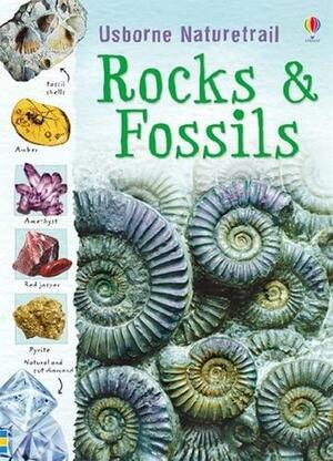 Rocks and Fossils by Struan Reid