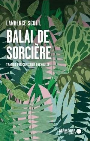 Balai de sorcière by Lawrence Scott