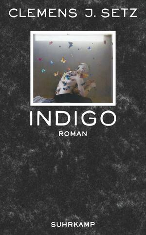 Indigo by Clemens J. Setz