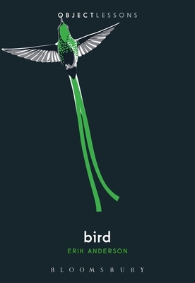 Bird by Erik Anderson