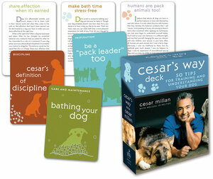 Cesar's Way Deck: 50 Tips for Training and Understanding Your Dog by Cesar Millan