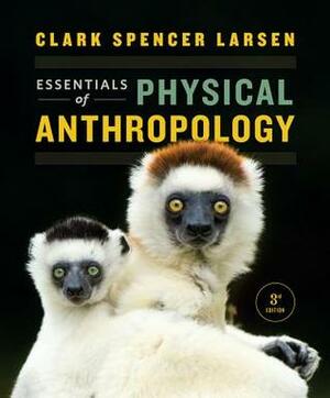 Essentials of Physical Anthropology by Clark Spencer Larsen