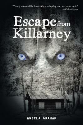 Escape from Killarney by Angela Graham