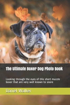 The Ultimate Boxer Dog Photo Book: Looking through the eyes of this short muzzle boxer that are very well known to snore by Daniel Walker