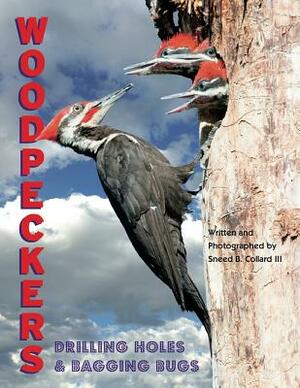 Woodpeckers by Sneed B. Collard III