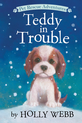 Teddy in Trouble by Holly Webb