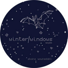 Winter/Windows by Shana Youngdahl