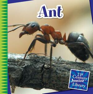 Ant by Susan Heinrichs Gray