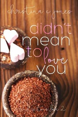 Didn't Mean To Love You by Christina C. Jones