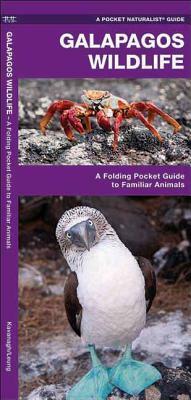 Galapagos Wildlife: An Introduction to Familiar Species by James Kavanagh, Waterford Press
