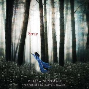 Stray by Elissa Sussman