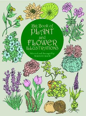 Big Book of Plant and Flower Illustrations by Maggie Kate