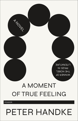 A Moment of True Feeling by Peter Handke