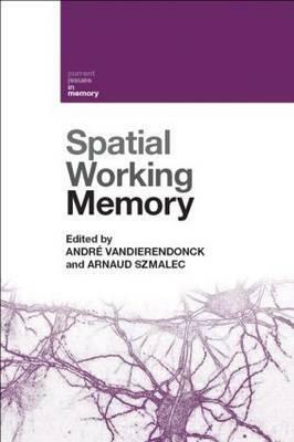 Spatial Working Memory by 