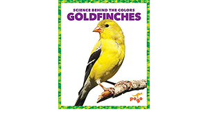 Goldfinches by Alicia Klepeis