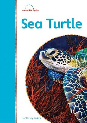 Sea Turtle by Wendy Perkins