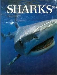 Sharks by John D. Stevens