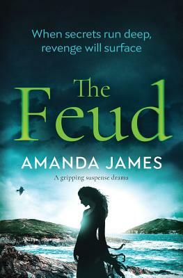 The Feud: a gripping suspense drama by Amanda James