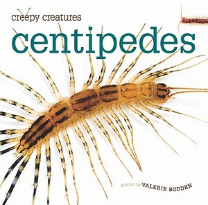 Centipedes by Valerie Bodden