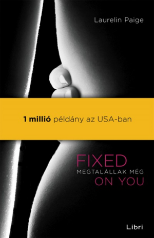 Fixed ​on You – Megtalállak még by Laurelin Paige