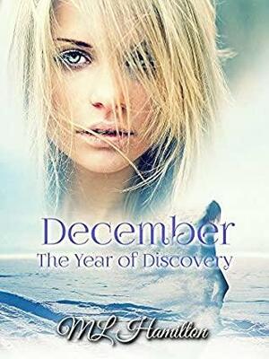 December by M.L. Hamilton