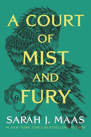 A Court of Mist and Fury by Sarah J. Maas