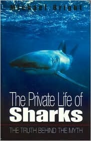 The Private Life of Sharks by Michael Bright