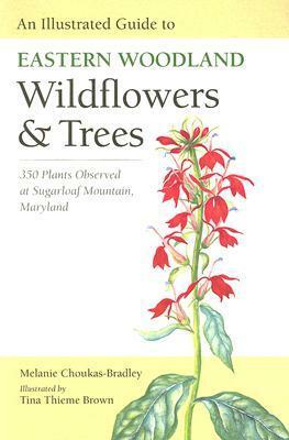 An Illustrated Guide to Eastern Woodland Wildflowers and Trees: 350 Plants Observed at Sugarloaf Mountain, Maryland by Melanie Choukas-Bradley