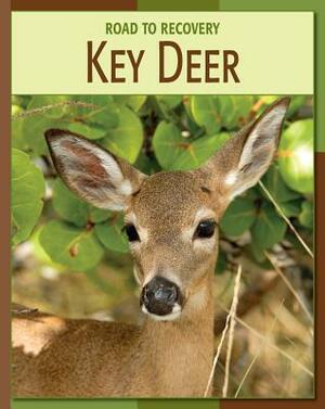 Key Deer by Susan Heinrichs Gray