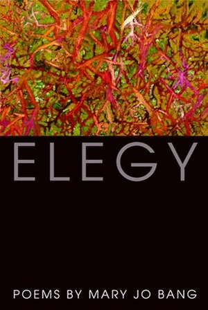 Elegy by Mary Jo Bang