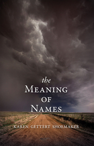 The Meaning of Names by Karen Shoemaker