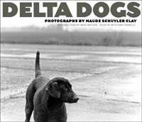 Delta Dogs by Maude Schuyler Clay, Brad Watson, Beth Ann Fennelly