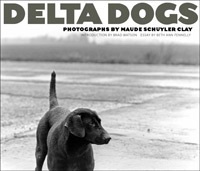 Delta Dogs by Brad Watson, Maude Schuyler Clay, Beth Ann Fennelly