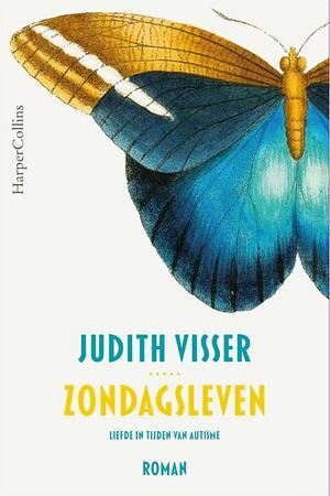 Zondagsleven: Liefde in tijden van autisme by Judith Visser